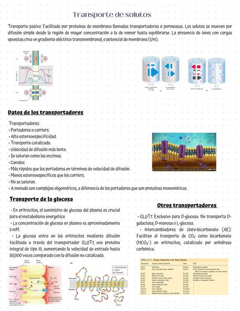 El agua y el ph Segunda parte