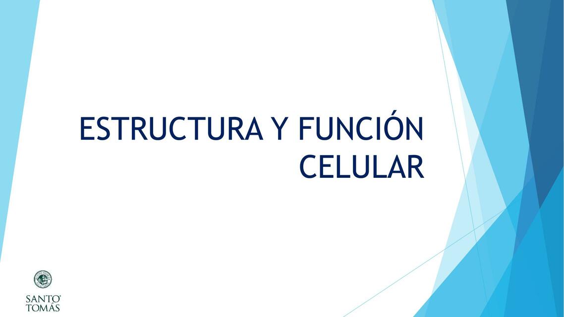 BC Clase 7 Estructura y función celular