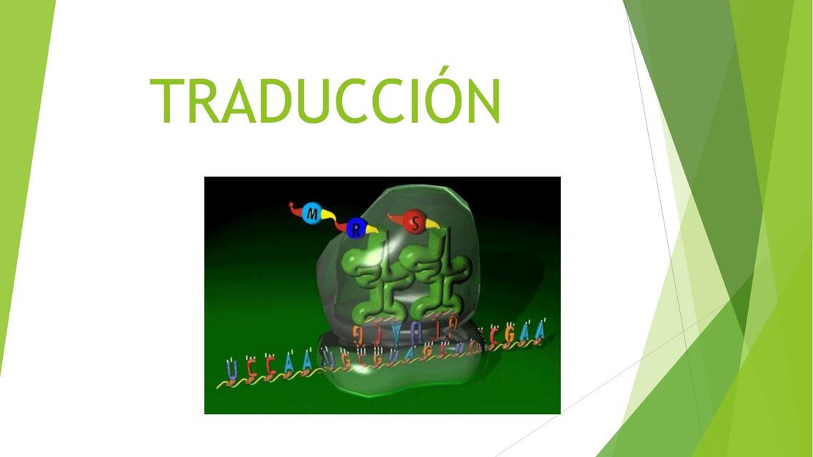 BC Clase 20 Traducción