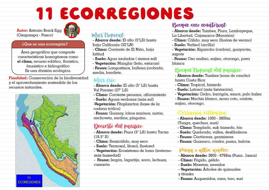 11 ecorregiones