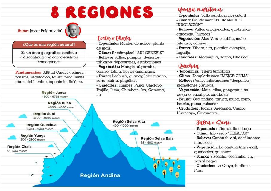 8 regiones