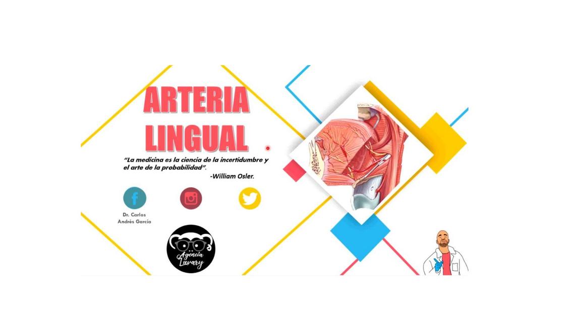 arteria lingual