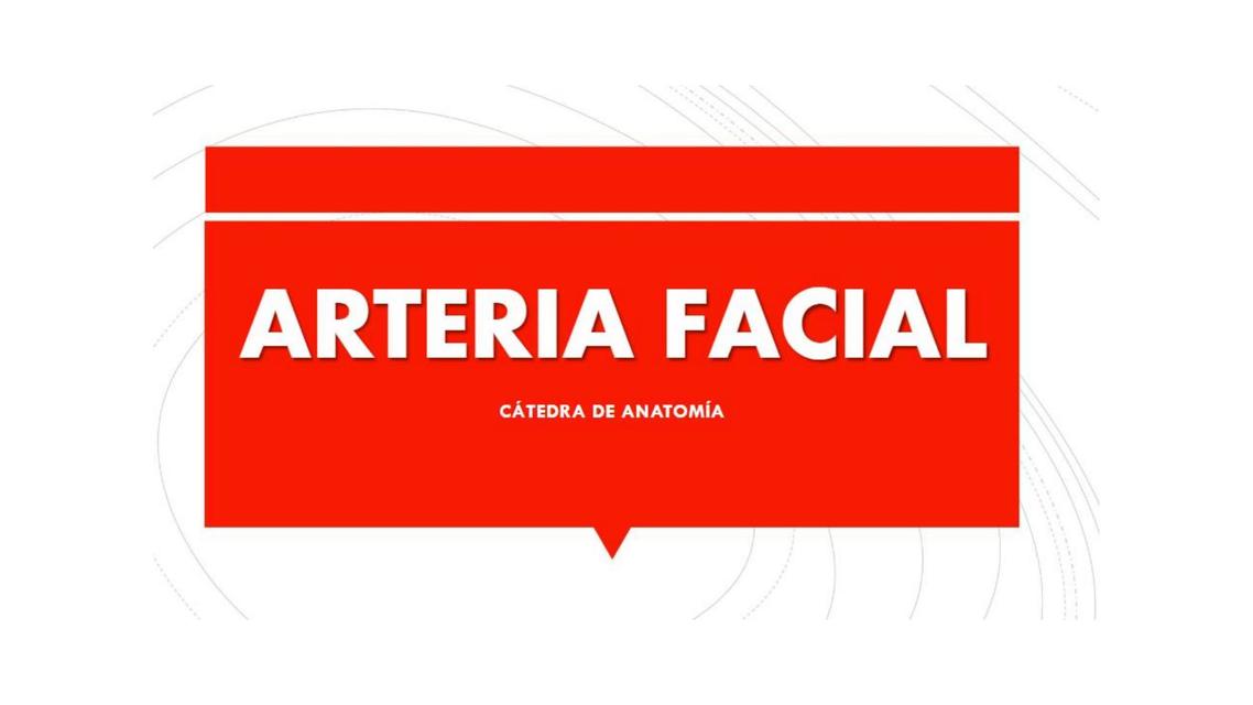 arteria facial