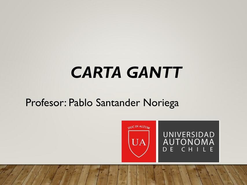 CARTA GANTT