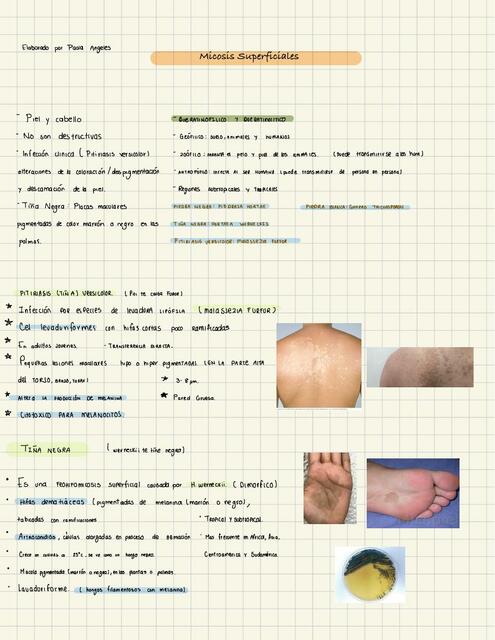 micosis superficiales