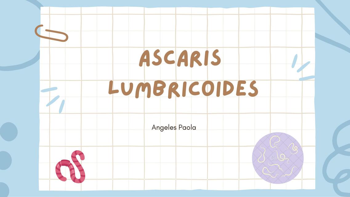 Ascaris lumbricoides