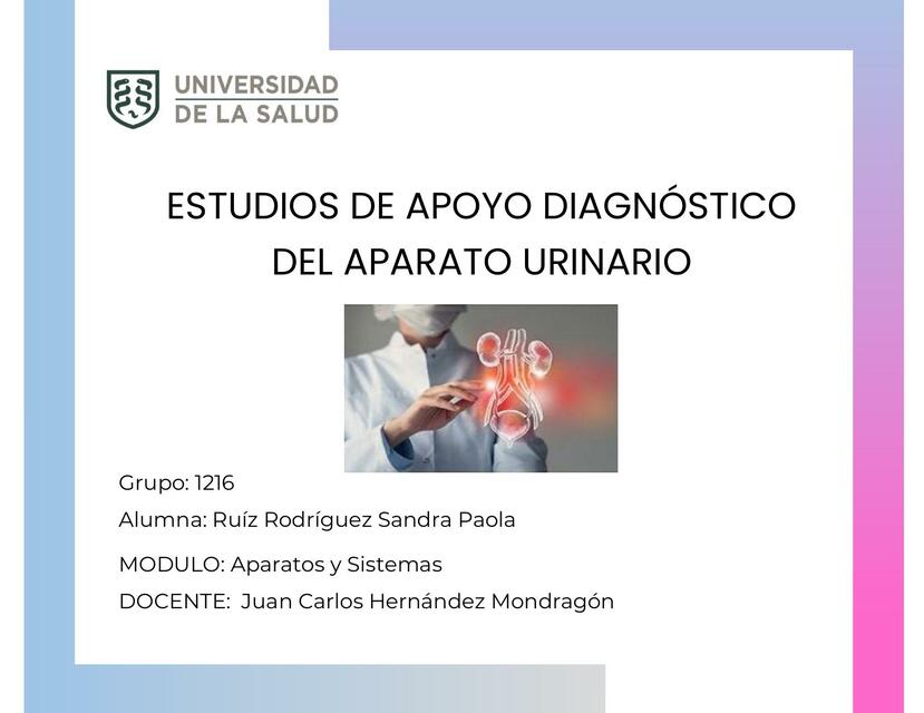 ESTUDIOS DE APOYO DE DIAGNOSTICO DE APARATO URINARIO