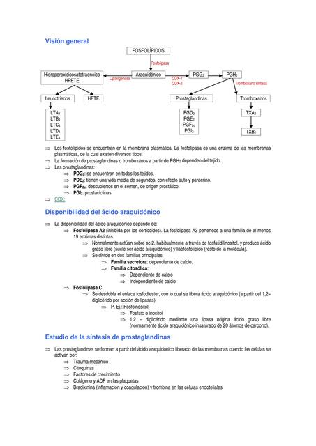 sintesis 1