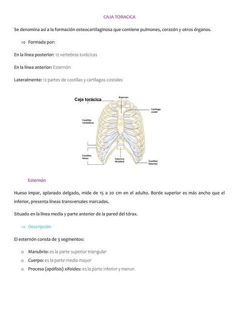 CAJA TORACICA