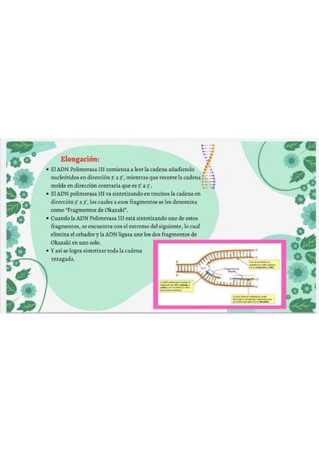 biologia