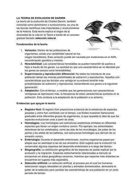 LA TEORIA DE EVOLUCIÓN DE DARWIN