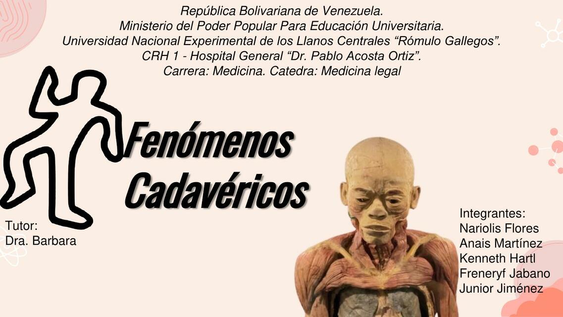 Fenomenos Cadavericos | ken hartl | uDocz