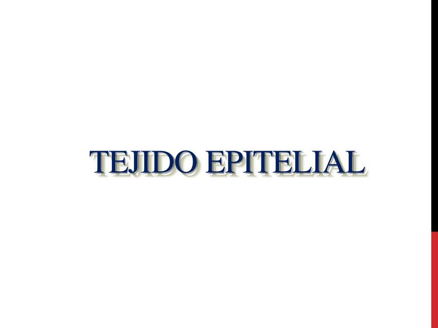 Tejido epitelial