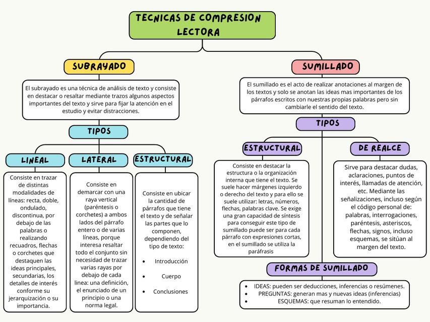 TECNICAS DE COMPRENSION LECTORA