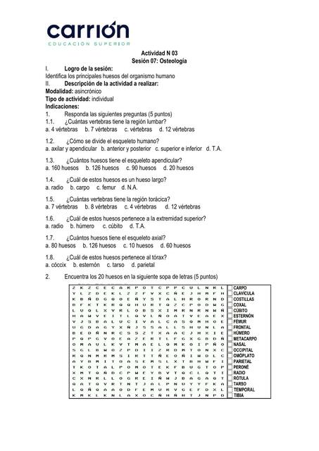 Anatomia Guia de Actividad