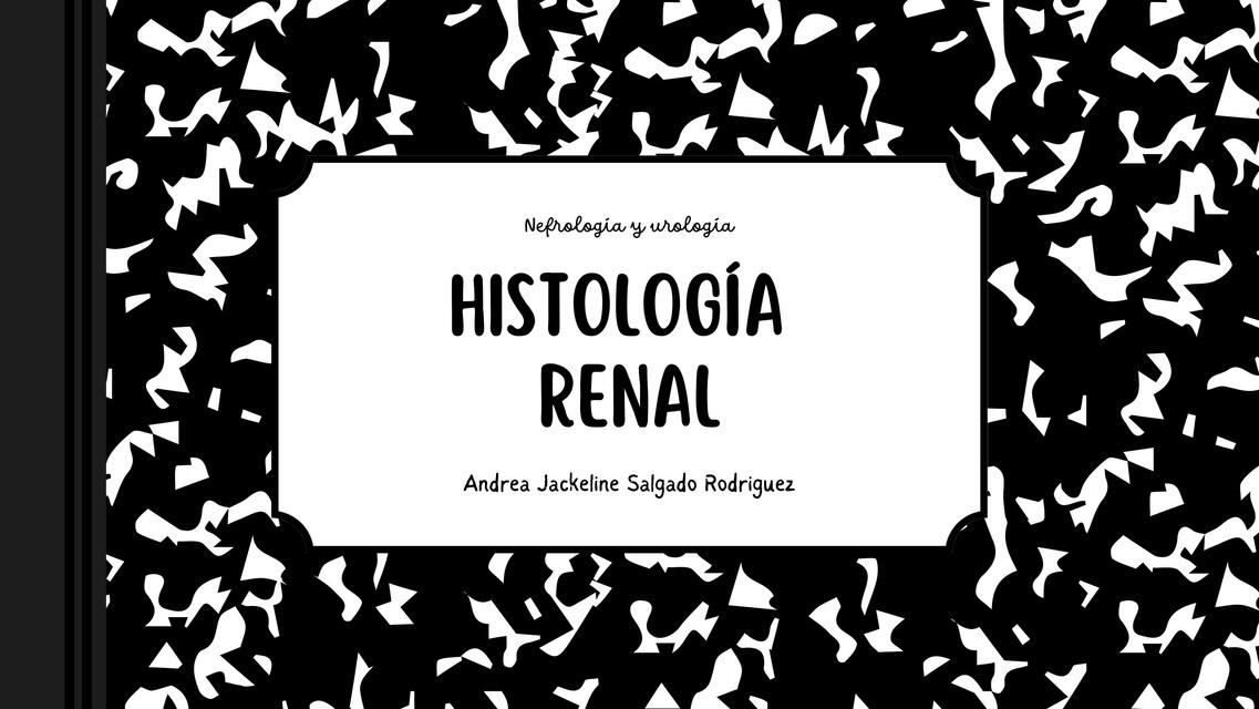 Histología Renal