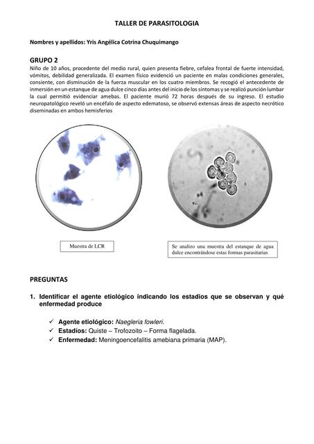 Taller de parasitología 