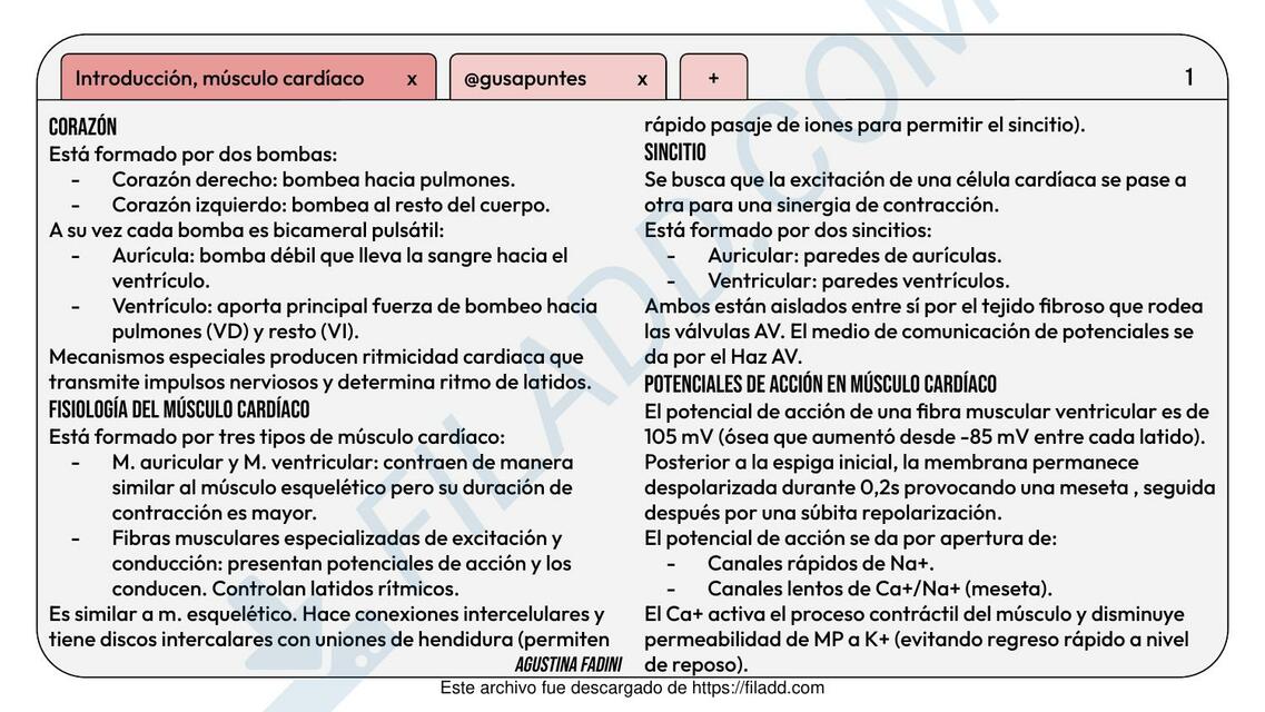 Cardio flashcards fisio