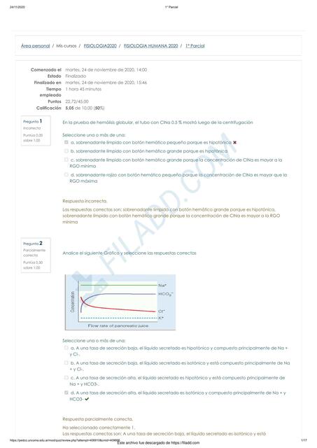 1 Parcial corregido