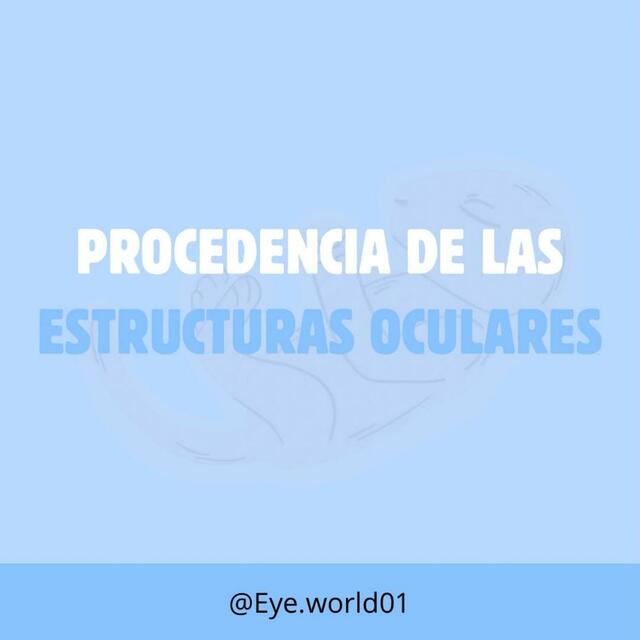 Procedencia de las estructuras oculares