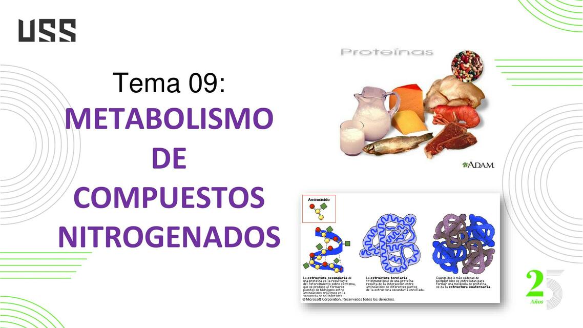 CLASE 09 METABOLISMO DE COMPUESTOS NITROGENADOS 1