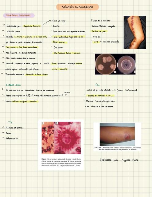 ESPOROTRICOSIS