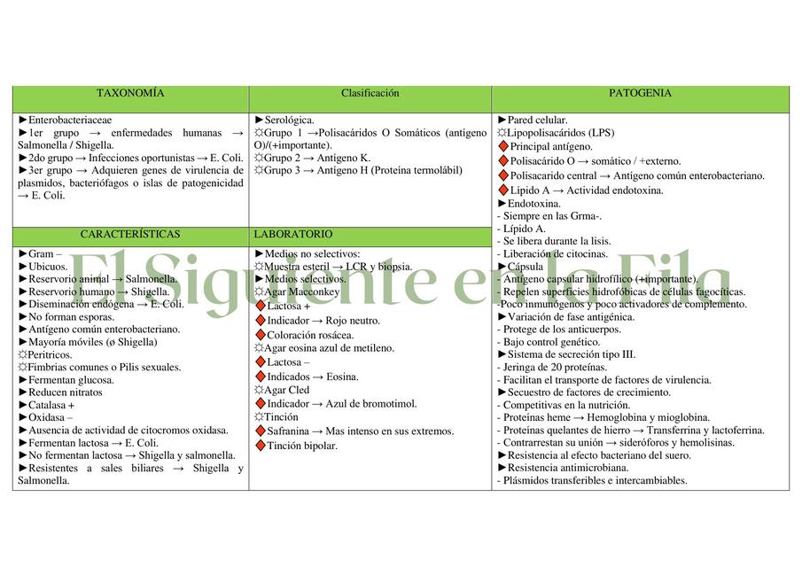 Generalidades de Enterobacterias