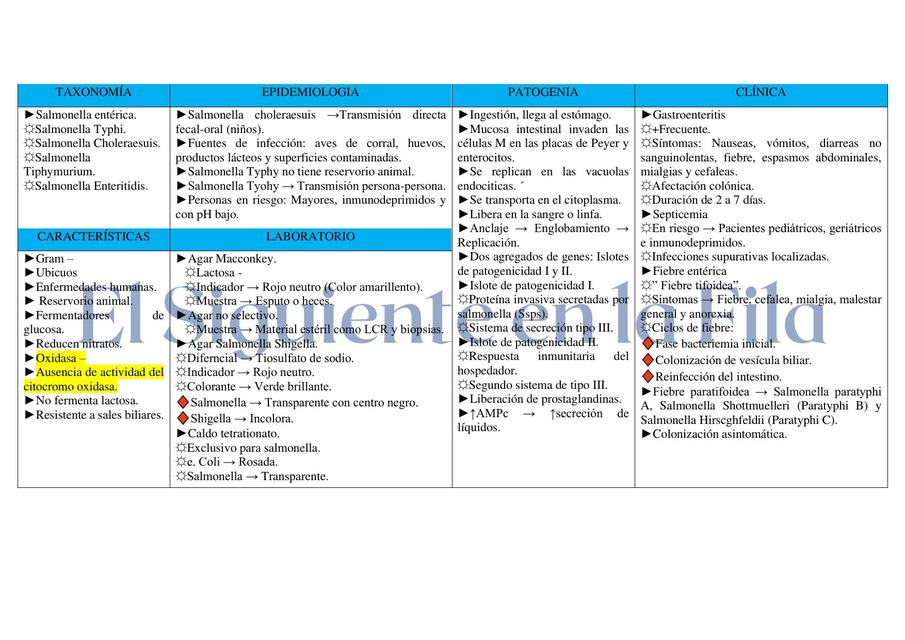 Salmonella entérica Cuadro