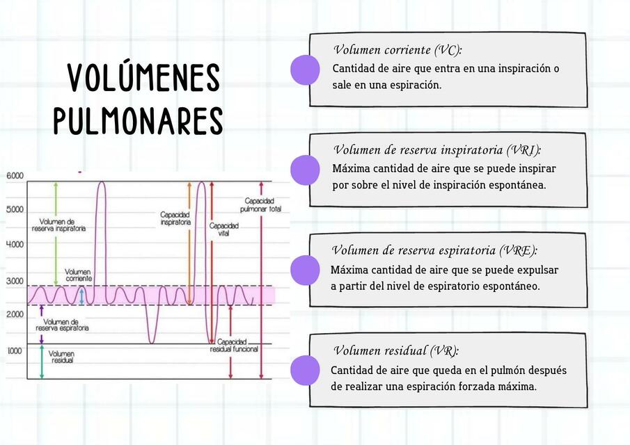 VOLUMNES Y CAPACIDADES PULMONARES