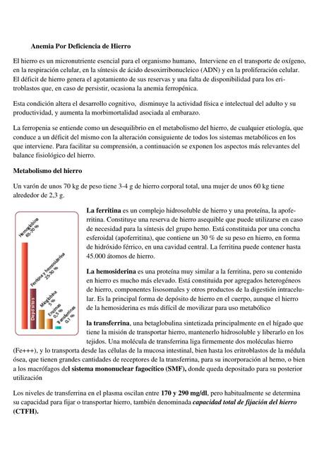 Anemia Por Deficiencia de Hierro