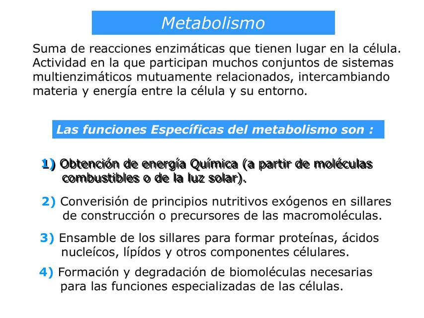 Metabolismo