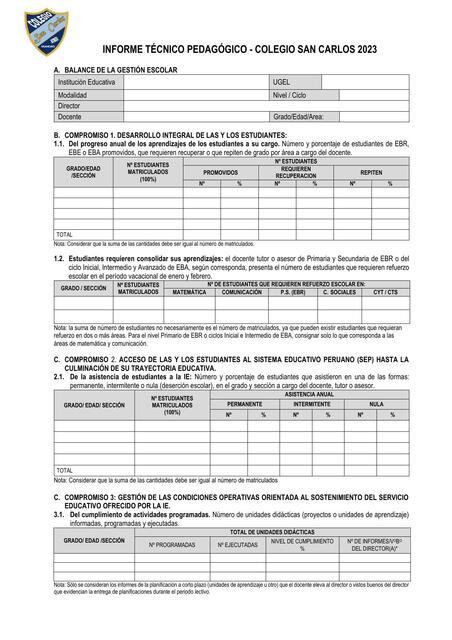 Informe técnico pedagógico 