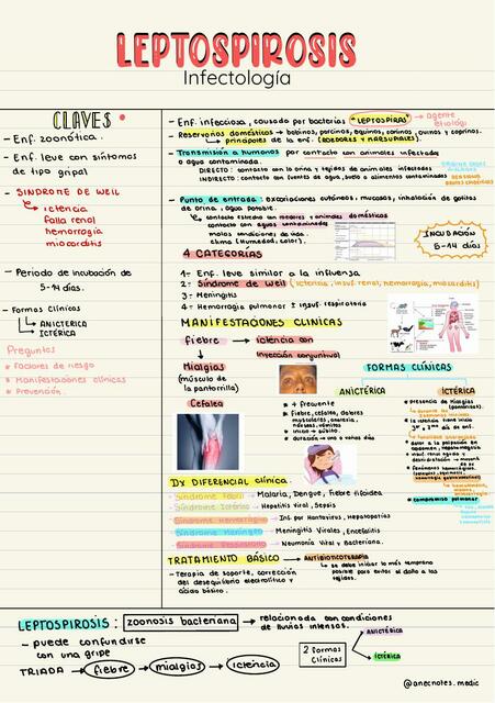 LEPTOSPIROSIS