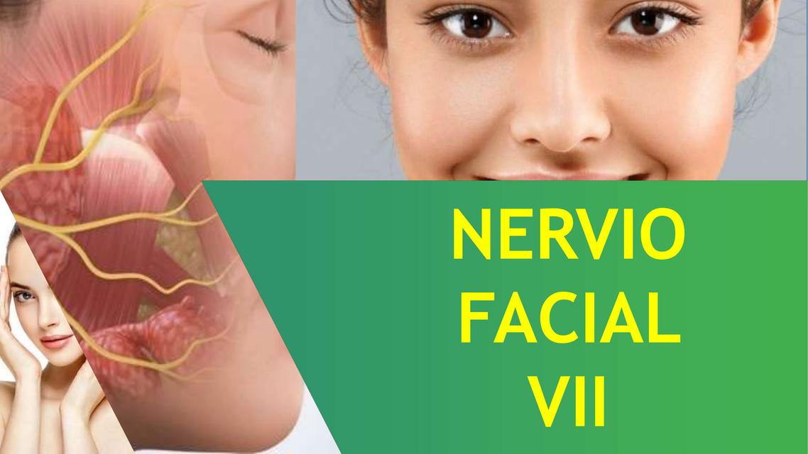 Nervio Facial origen inervación