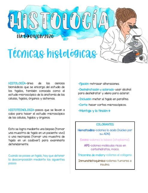 Histología generalidadessistema epitelial y conjuntivo