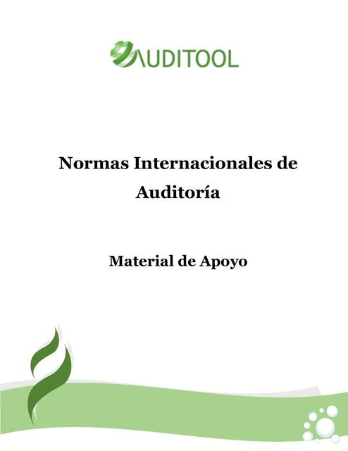 Normas Internacionales de Auditoria GUÍA NIAS