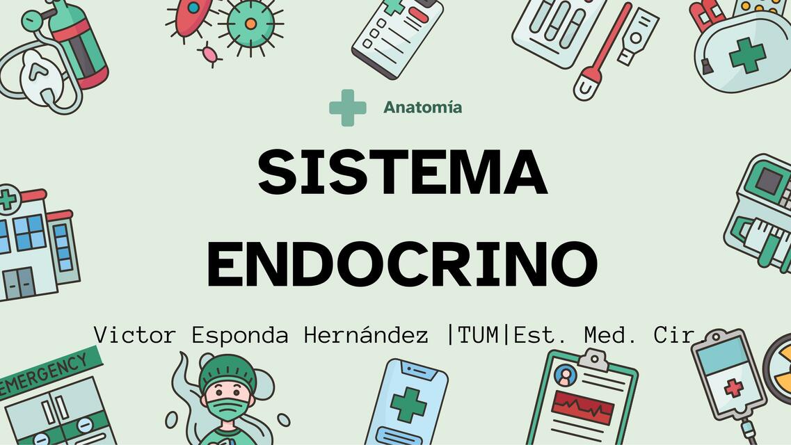 Sistema Endocrino DEFINITIVA