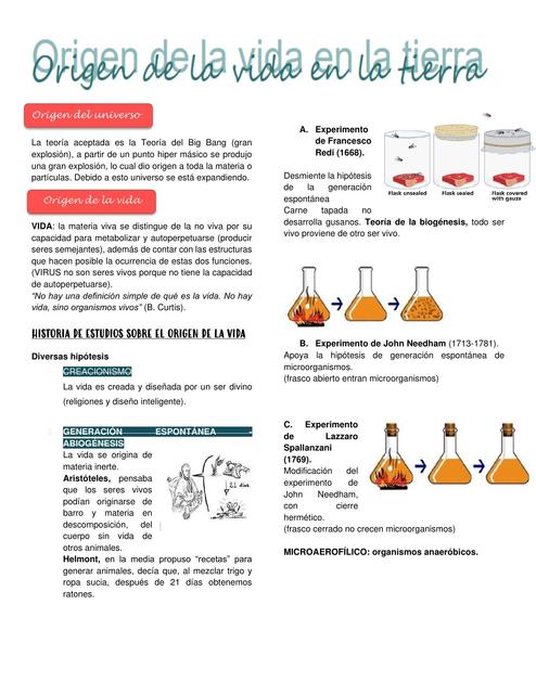 Origen de la vida en la tierra