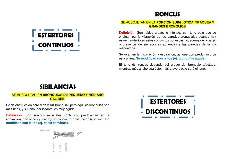 SEMIOLOGIA ESTERTORES