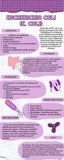 Microbiología Infografías de EnteroBacterias 1 com