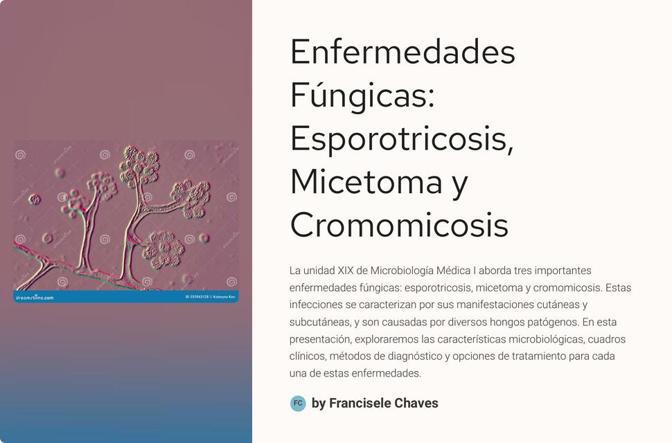 hongosEnfermedades Fungicas Esporotricosis Micetom