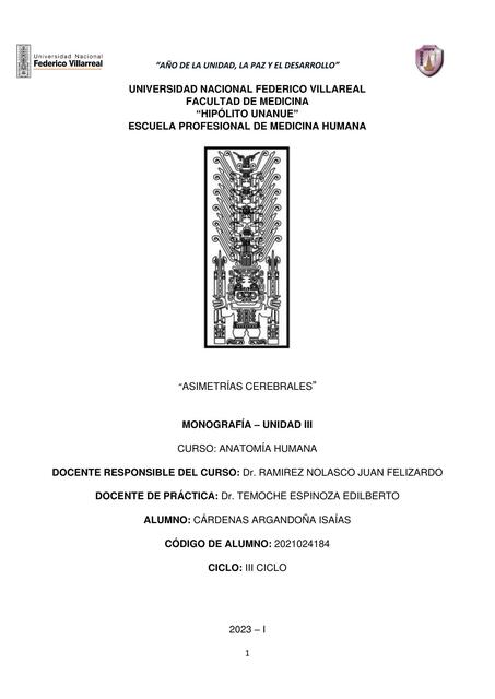 Asimetrias cerebrales