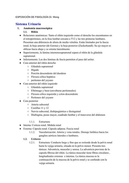 FISIOLOGÍA RENAL RESUMEN