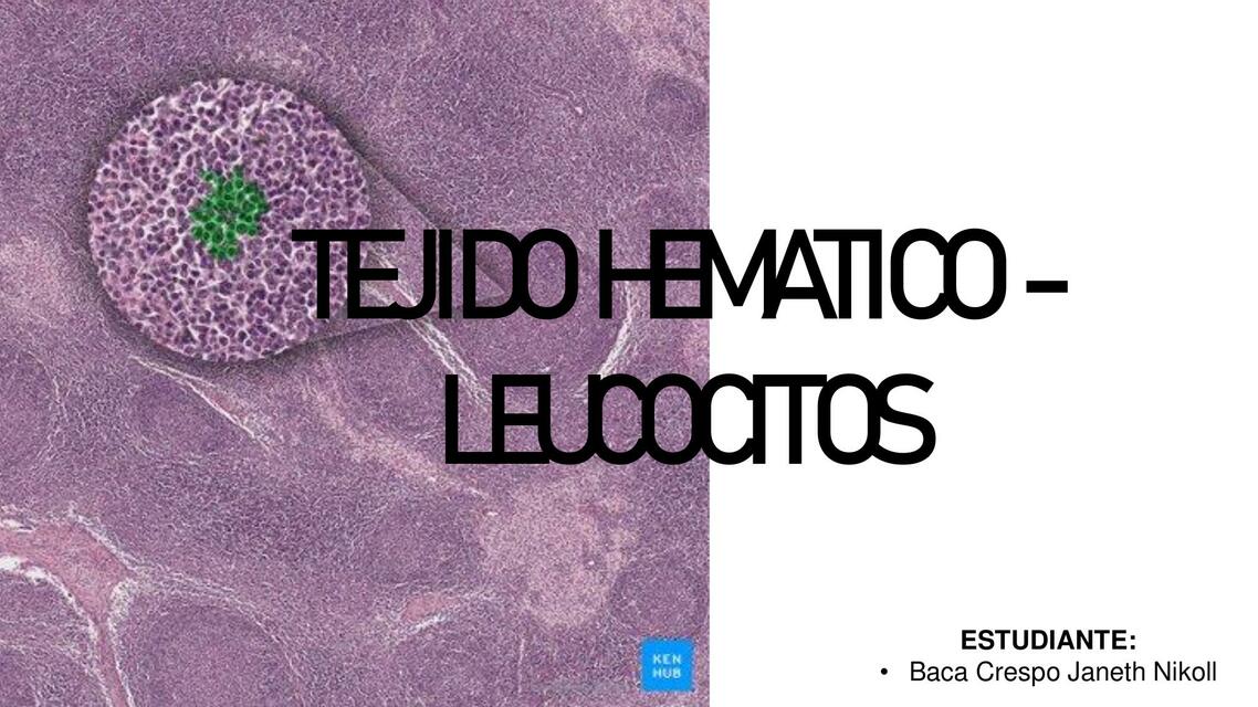 HISTOLOGIA