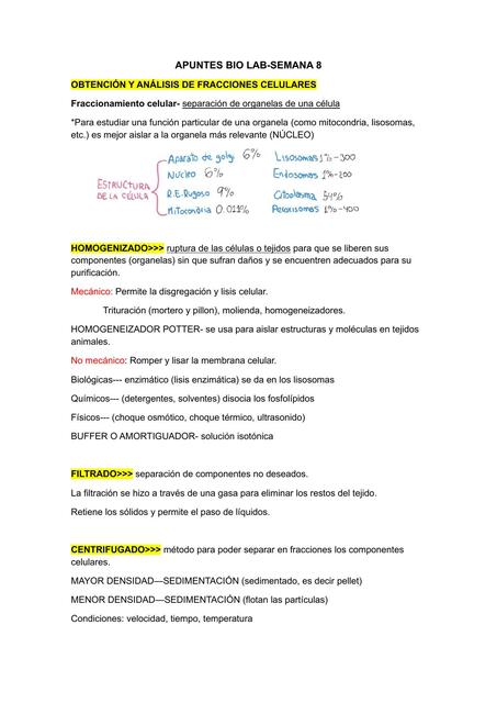 APUNTES BIO LAB- FINAL