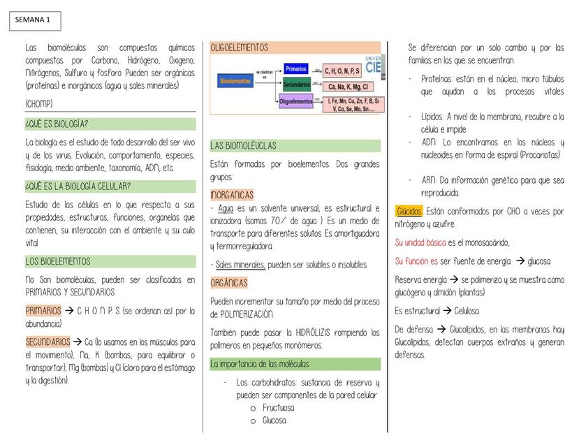 Apuntes biología Celular