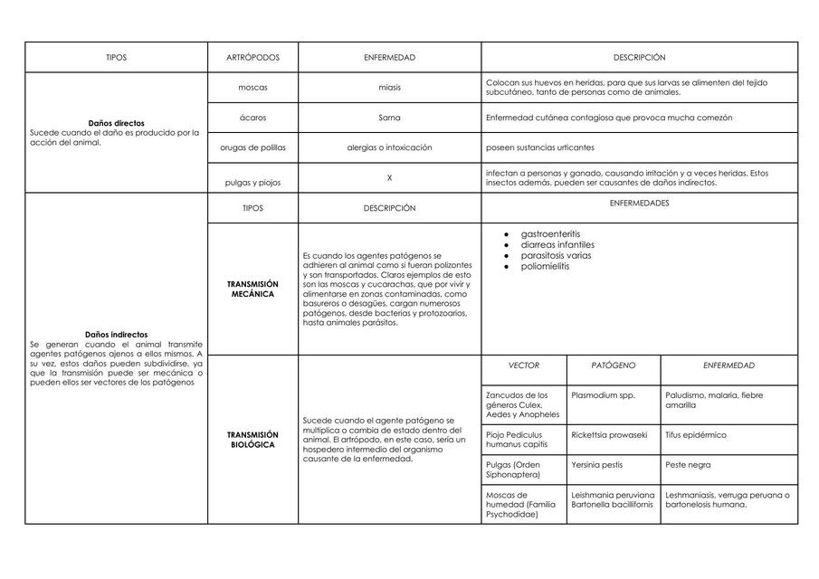 ANTROPODOS TRANSMISORES DE ENFERMEDADES