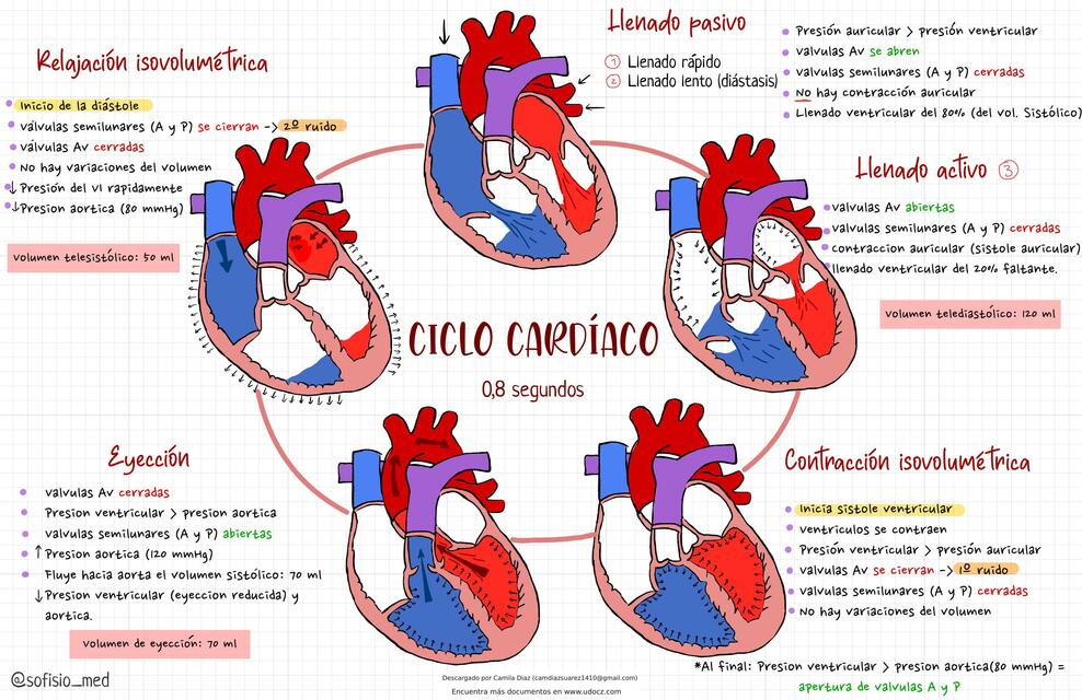 CICLO CARDIACO