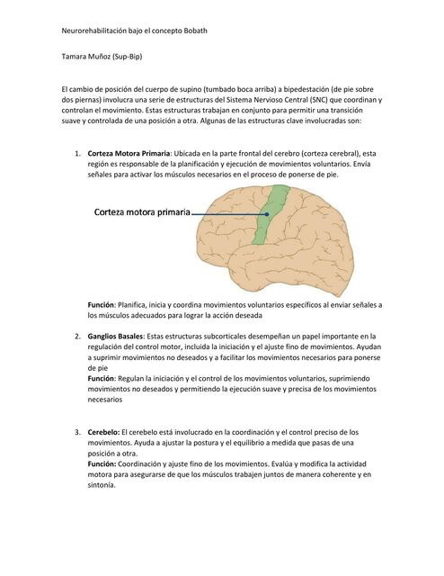 Neurorehabilitación