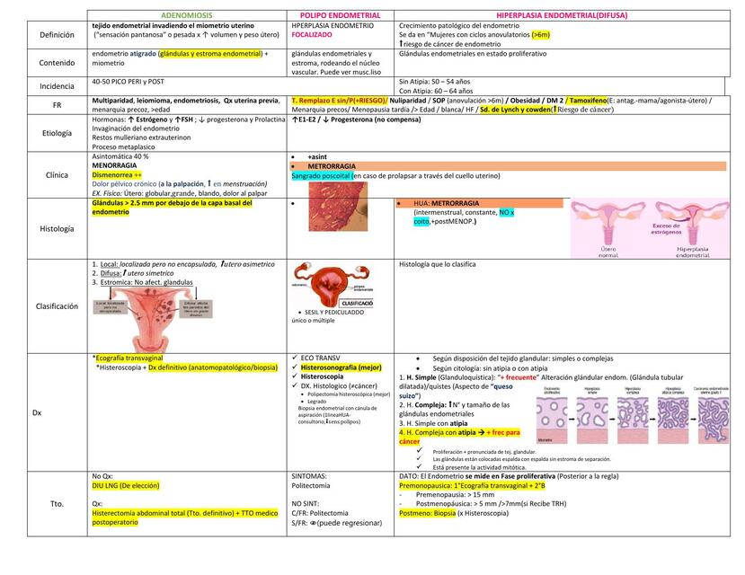 ADENOMIOSIS Y HIPERPLASIA ENDOMETRIAL CANCER Resum